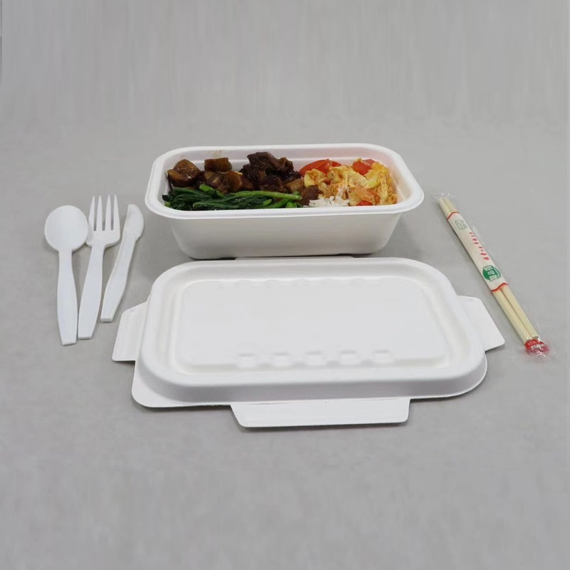 1000 ML Bagasse खाद्य कन्टेनर